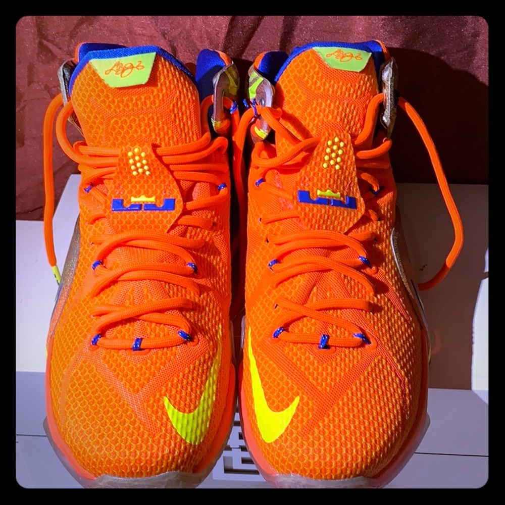 Nike LeBron’s Meridians, men’s size 9.5